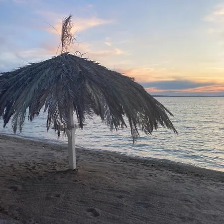 아파트 Hmelina 브르시