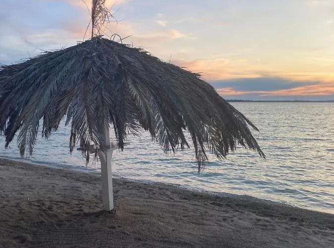 아파트 Hmelina 브르시