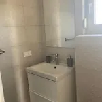 Hmelina * Vrsi